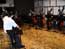 reflections teaching double bass