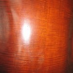 back view
