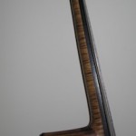 neck view