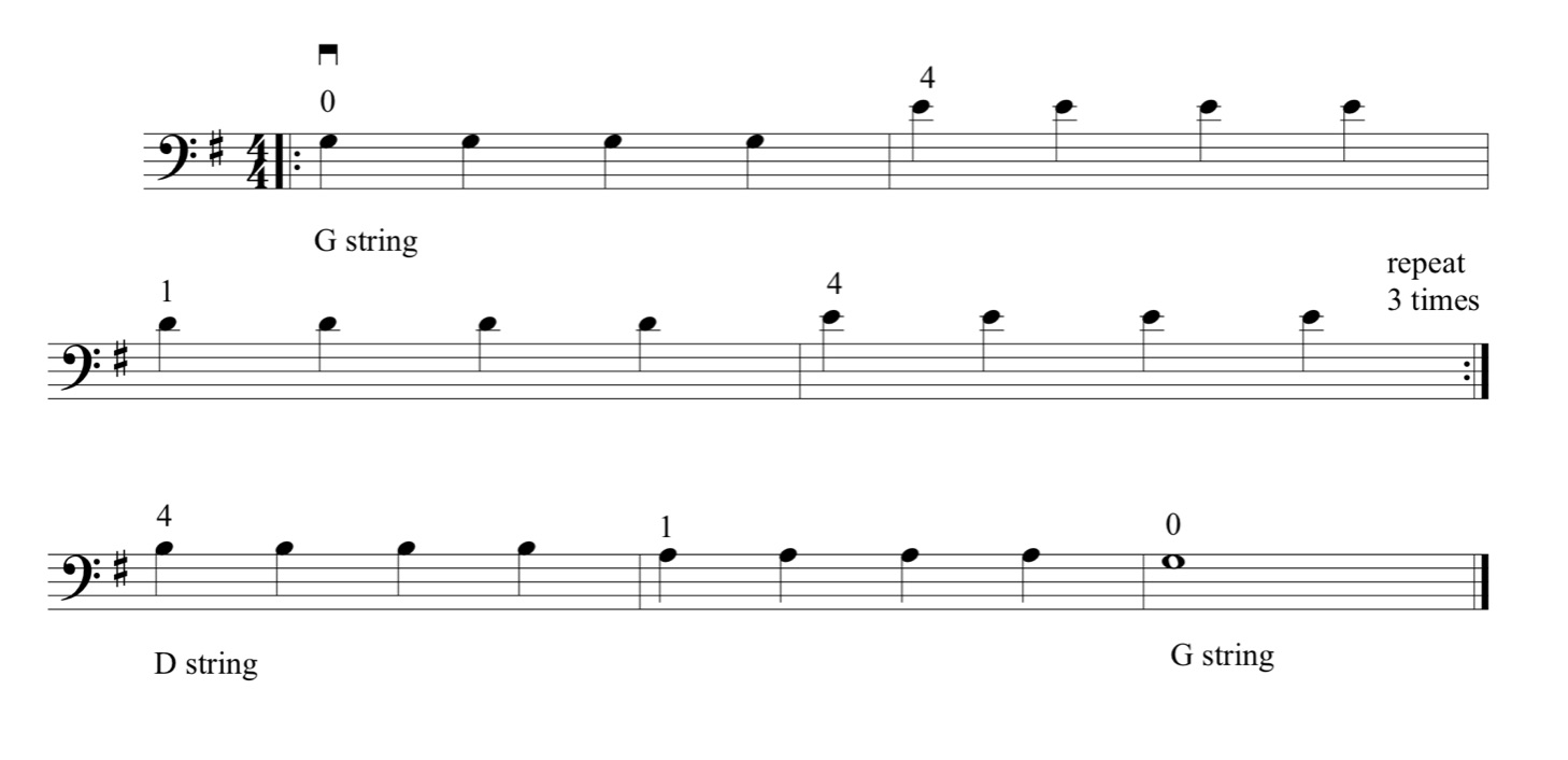 Fundamentals Of Double Bass Technique Part 1 Left Hand Fundamentals Jason Heaths Double 0274