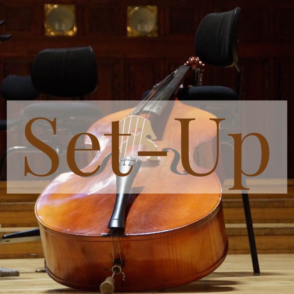 My Search for the Perfect Double Bass Tone – Part 3: Set-Up