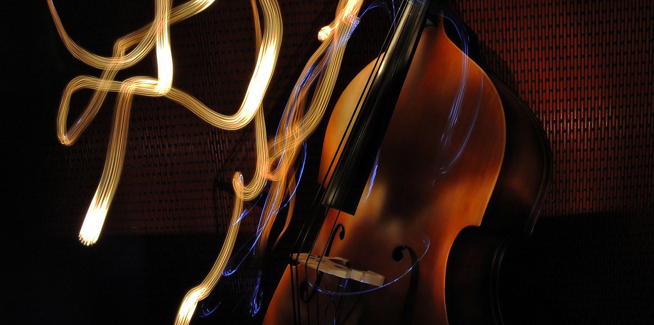 6 Brain Benefits to Playing the Upright Bass